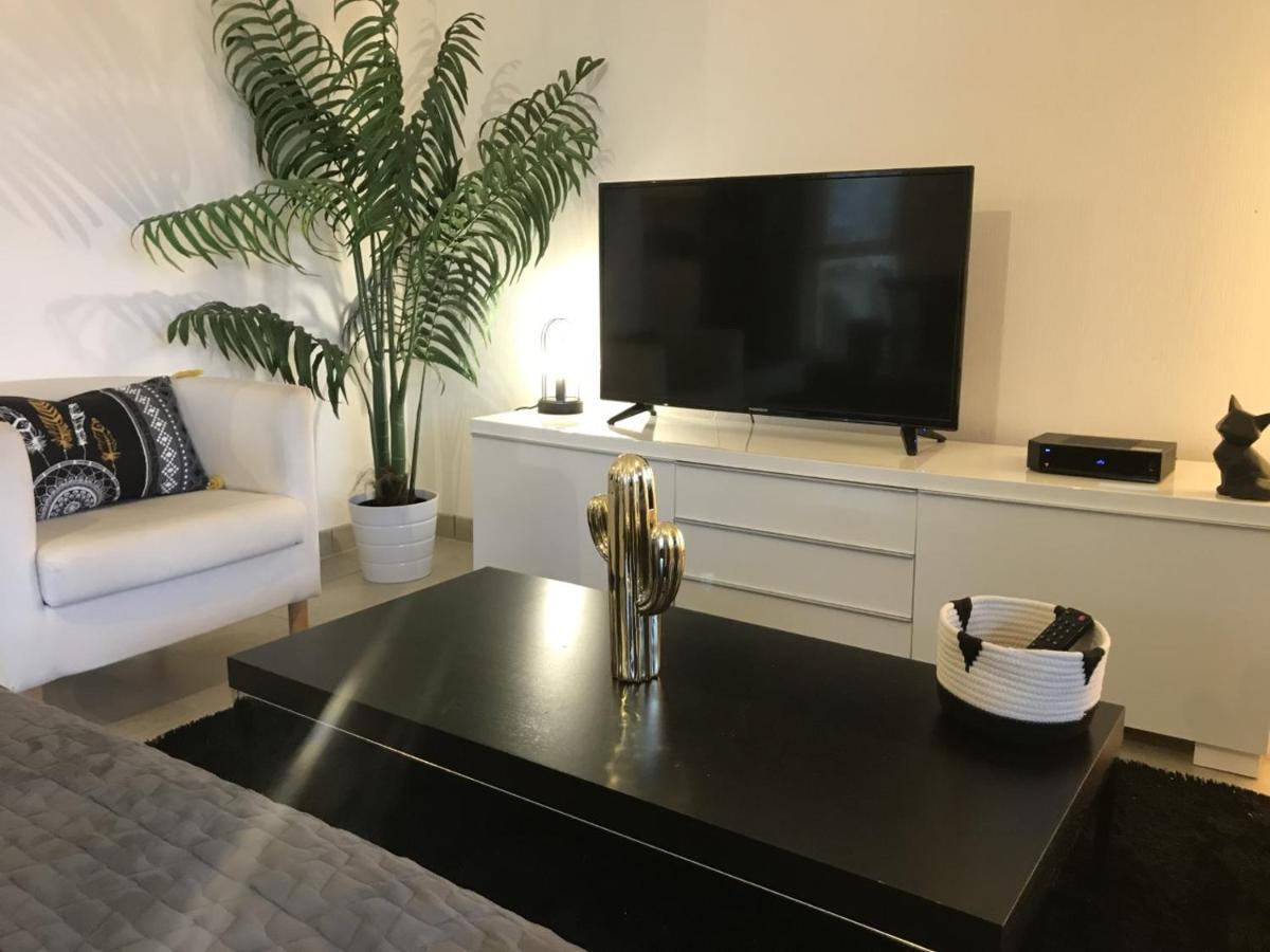 שטרסבורג Appartement "Harmonea" מראה חיצוני תמונה